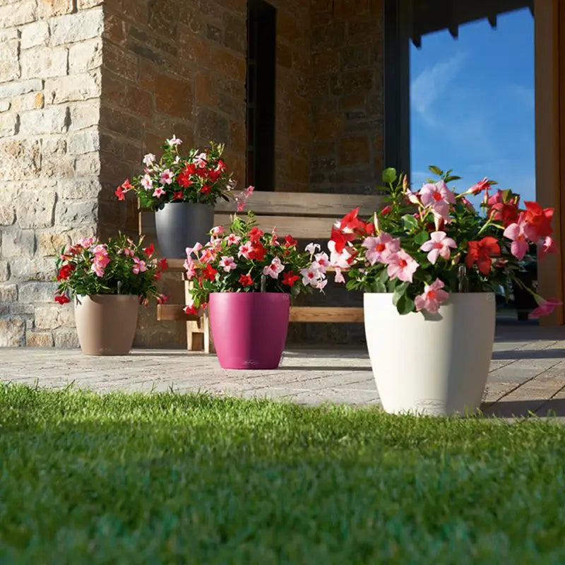 PP Self Watering Planters Flower Pots Indoor with Water Level Indicators 6x5'' New Hot