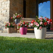 PP Self Watering Planters Flower Pots Indoor with Water Level Indicators 6x5'' New Hot