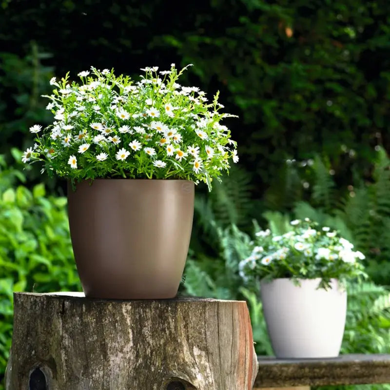 PP Self Watering Planters Flower Pots Indoor with Water Level Indicators 6x5'' New Hot