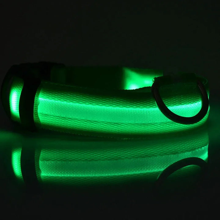 Reflective LED Pet Collar