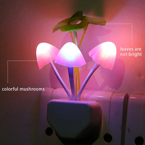 Colourful Mushroom Night Light