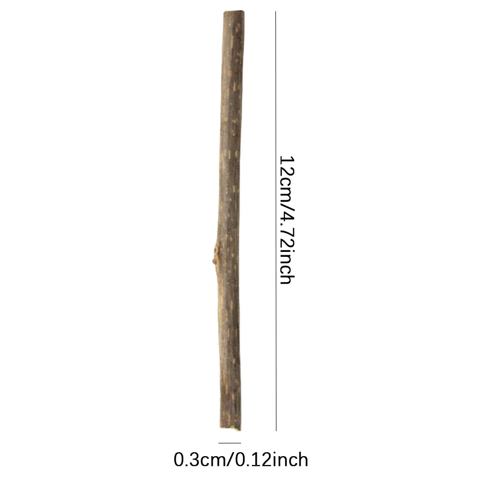 Natural Matatabi Stick for Cats - Dental Care Chew Toy, Anti-Tartar Fun Teaser & Furniture Saver (Kittens/Adults)