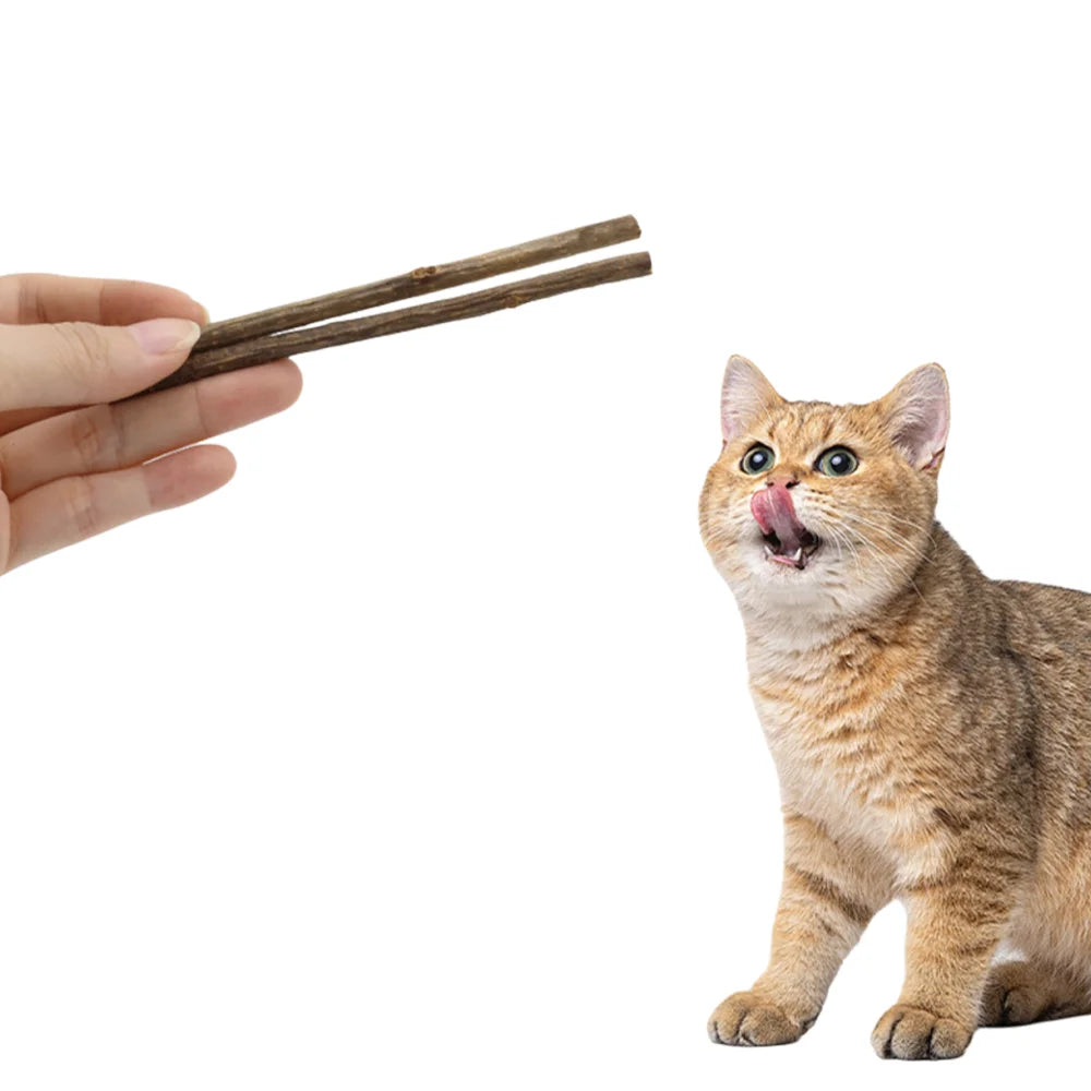 Natural Matatabi Stick for Cats - Dental Care Chew Toy, Anti-Tartar Fun Teaser & Furniture Saver (Kittens/Adults)