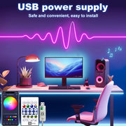 5V RGB+IC Neon Strip Light 1M 2M 3M 5M 10M USB Waterproof Flexible LED Strip Lights With Bluetooth Remote Control For Home Decor