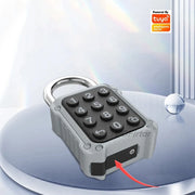 Tuya Bluetooth APP Remote Electronic Smart Padlock Password Door Lock Security Safety Bag Box Drawer