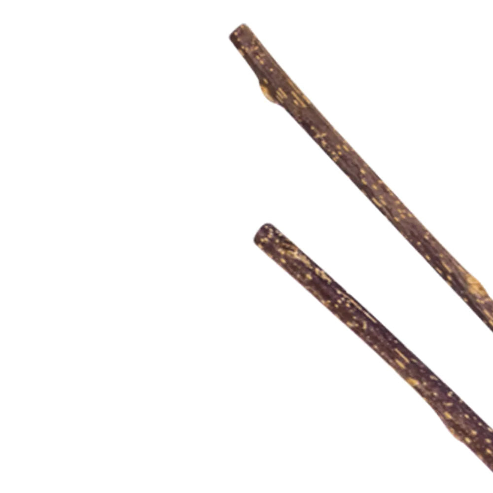 Natural Matatabi Stick for Cats - Dental Care Chew Toy, Anti-Tartar Fun Teaser & Furniture Saver (Kittens/Adults)