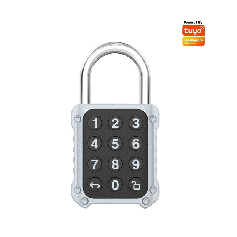 Tuya Bluetooth APP Remote Electronic Smart Padlock Password Door Lock Security Safety Bag Box Drawer