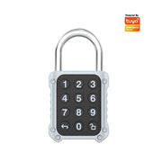 Tuya Bluetooth APP Remote Electronic Smart Padlock Password Door Lock Security Safety Bag Box Drawer