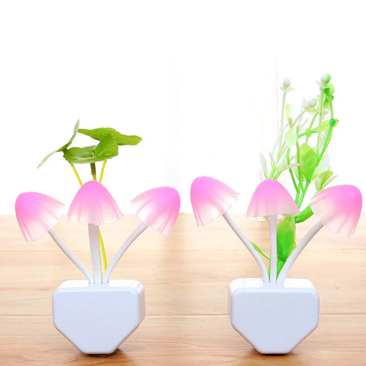 Colourful Mushroom Night Light